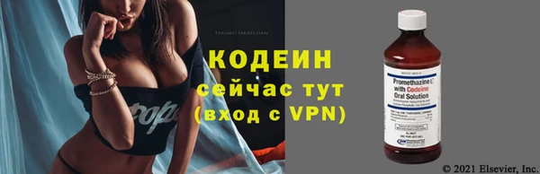 гашик Карпинск