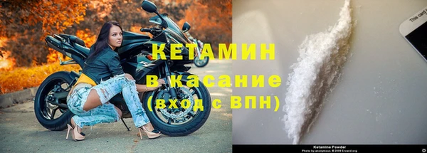 гашик Карпинск