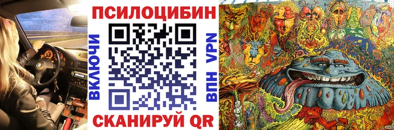 площадка телеграм  Лодейное Поле  Галлюциногенные грибы Cubensis 