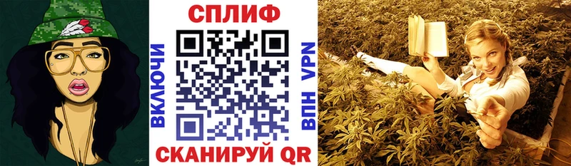 купить наркотик  Лодейное Поле  Каннабис план 